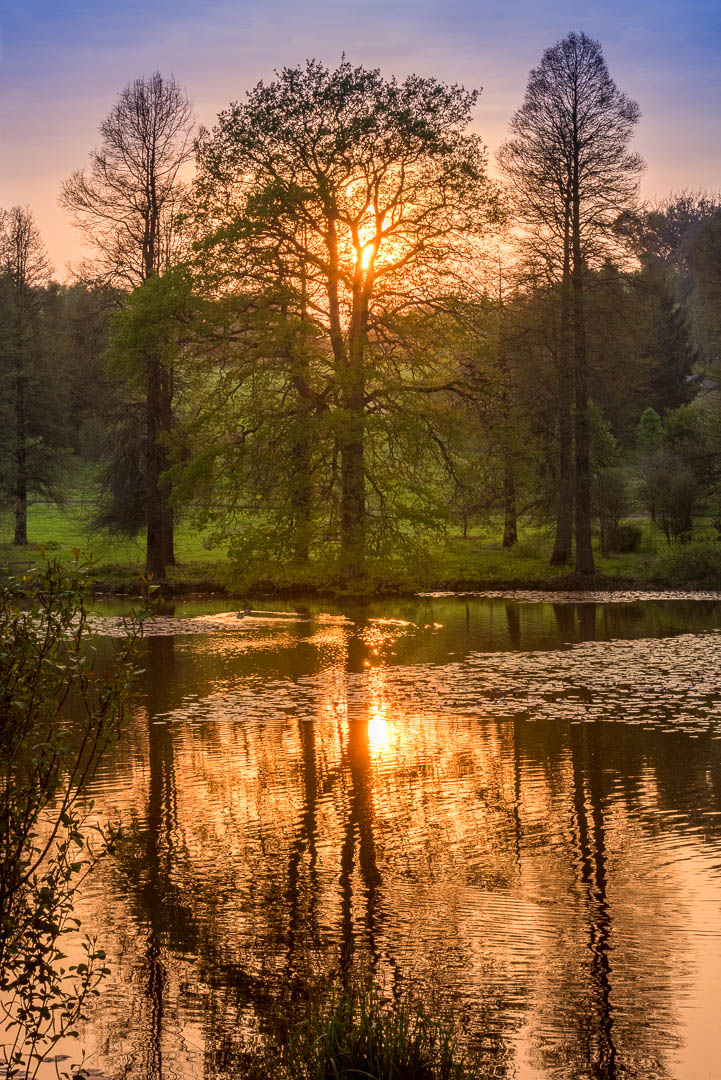  Sunset Over Marshal's Lake 