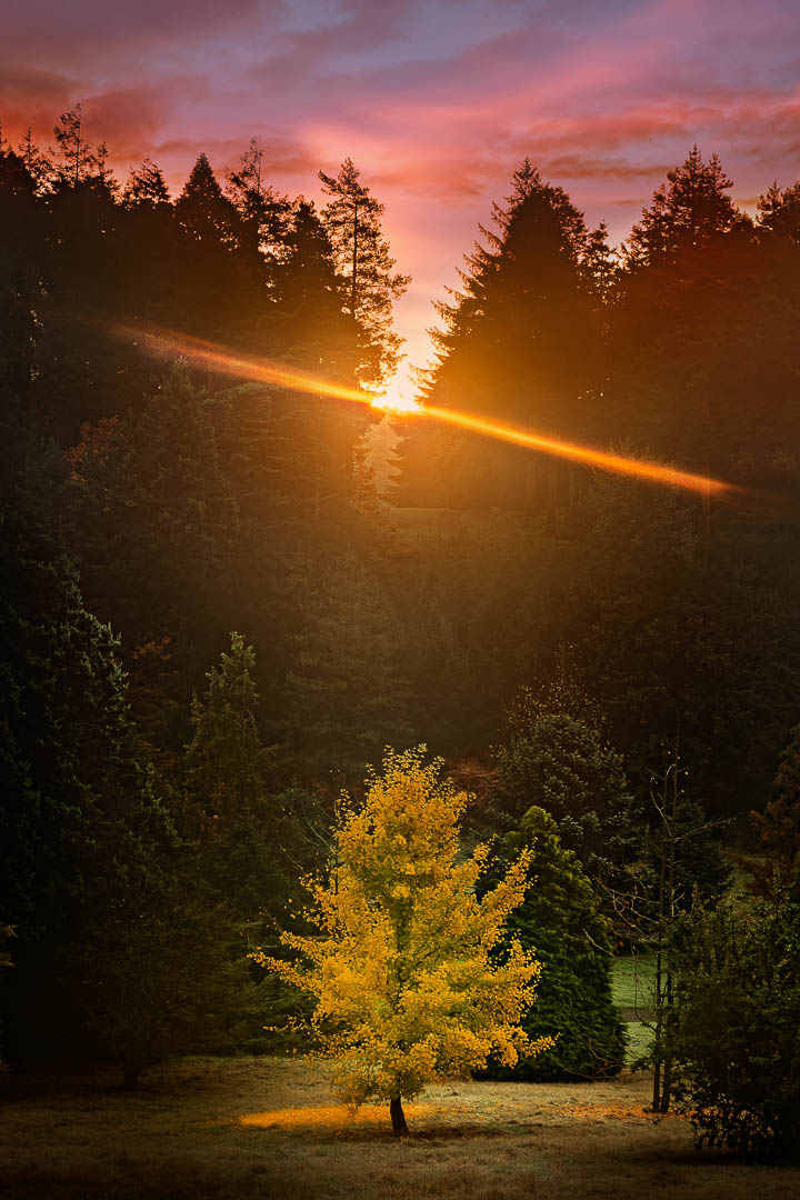  Ray of Light 