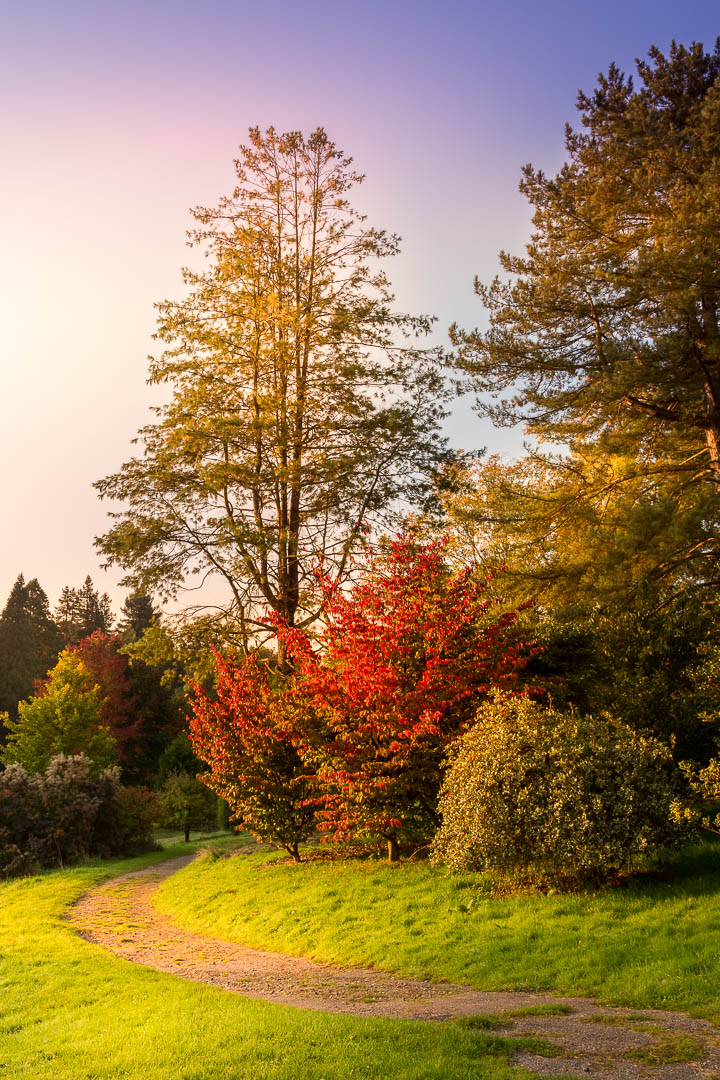  Colourful Light 