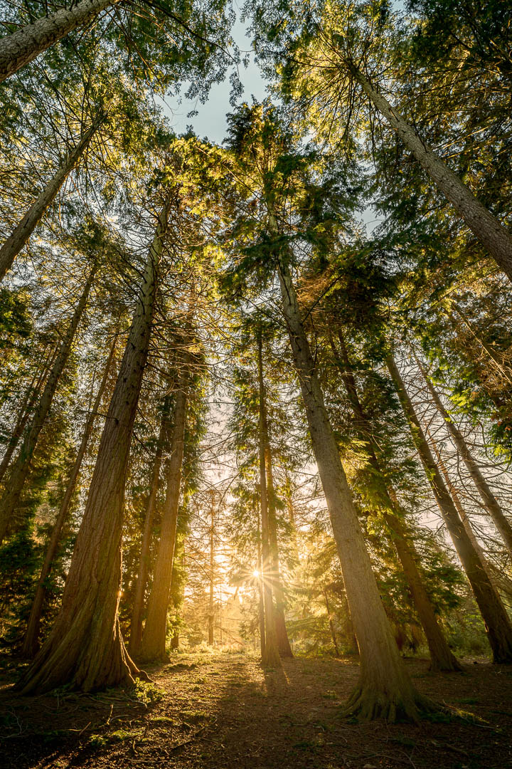  Reach For The Sky 
