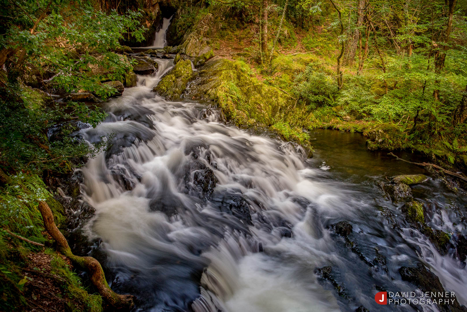 Stacks Image 1799